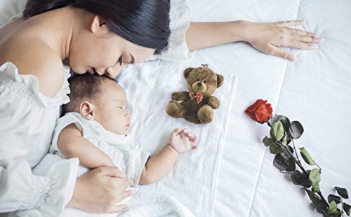 Rosen-Te-Amo | Infinity Rosen am Stiel Orange Rosenduft | Echte Rose Geburtstagsgeschenk für Frauen, Ewige Rose in Geschenkbox| Konservierte Blume zum Weihnachten, Valentinstag, Mama, Deko Geschenk