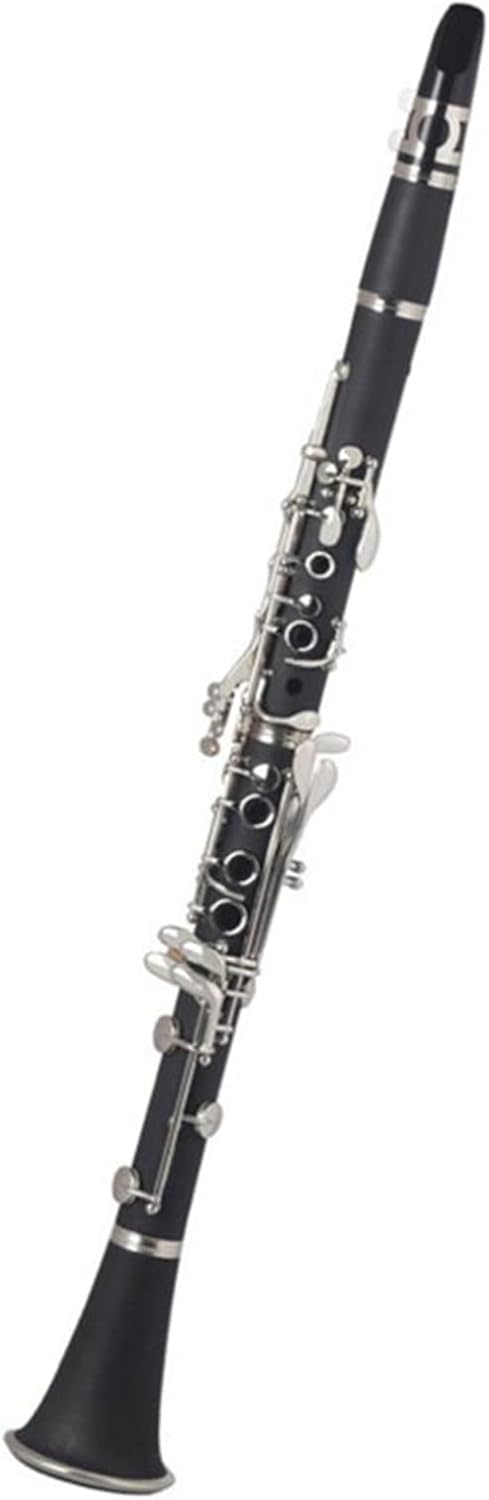 Clarinet Abs 17 Key Bb Flat Soprano Binocular Clarinet with Cleaning Cloth Gloves Reeds Woodwind Musical Instrument
