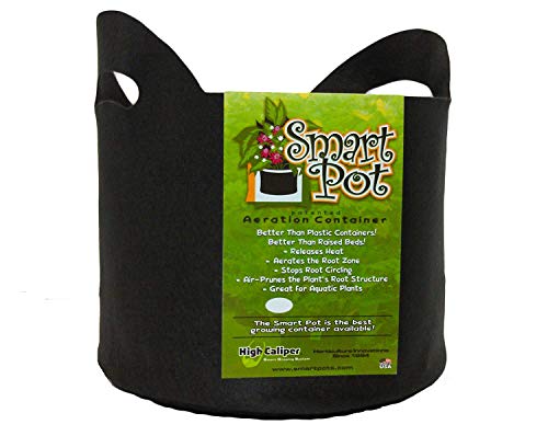 Smart Pots 10-Gallon Smart Pot Soft-Sided Container, Black with Cut Handles
