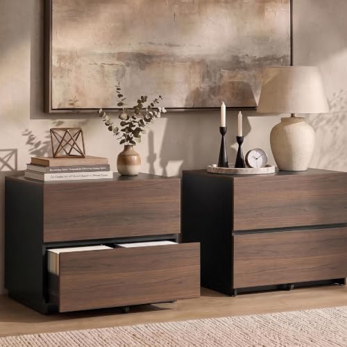Image of ModernMate 2 Drawer Lateral File Cabinet for Home Office, 31.5W*28.7H