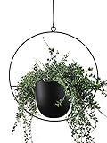 ABETREE Hanging Planter for Indoor Outdoor Plants Metal Mid Century Minimalist Wall Ceiling Plant Hanger, Hanging Flower Pot Basket Holder for Home Office Décor(Black)