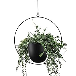 Hanging Planter for Indoor...
