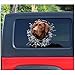 WYZDGTD Chocolat Labrador fenêtre Autocollant Chocolat Laboratoire Voiture Autocollant Labrador Autocollant Vinyle Autocollant 2 pièces côté Le Plus Long 21 Cm