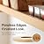 Maple Preglued 1 1/2" X 50' Wood Veneer Edgebanding.. Easy Application Iron On with Hot Melt Adhesive. Smooth Sanded Finish. Flexible Edging. Made in USA.