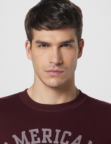 Image of American Eagle Men T-Shirt