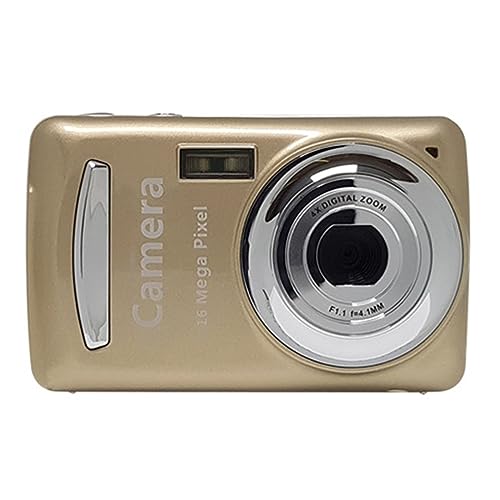 vlog J HD fW^ rfI J 16 KsNZ 2.4 C` 720P dry(Golden)