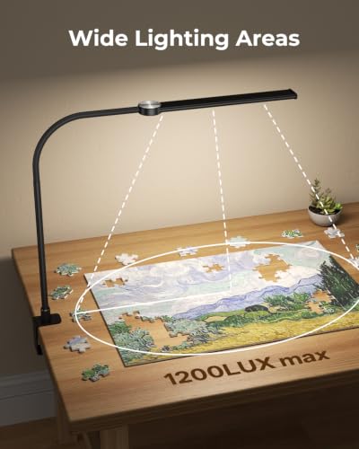 Image of LED Desk Lamp with Clamp for Home Office, Clip on Desk Lights, Black