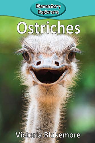 Ostriches (Elementary Explorers)