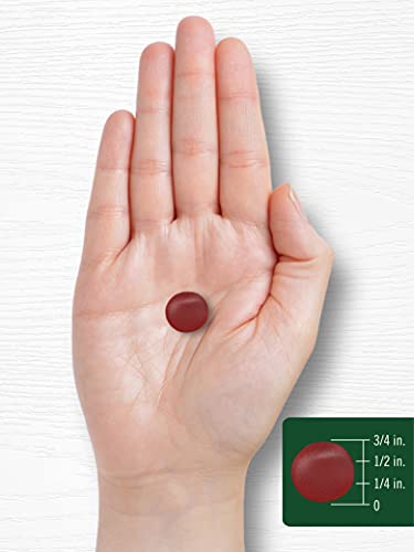 Carlyle Organic Apple Cider Vinegar Gummies | 120 Count | Usda Certified Organic | Vegan, Non-Gmo & Gluten-Free Acv Gummies | Natural Apple Flavor #TOP6