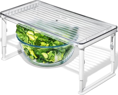Fridge Shelf