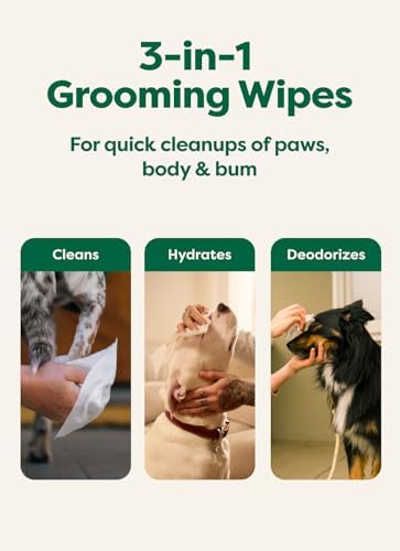 Earth Rated Dog Wipes, Hypoallergenic, Cleaning and Hydrating, for Grooming Paws, Body and Bums, Lavender Scented, 100 Count - View 6