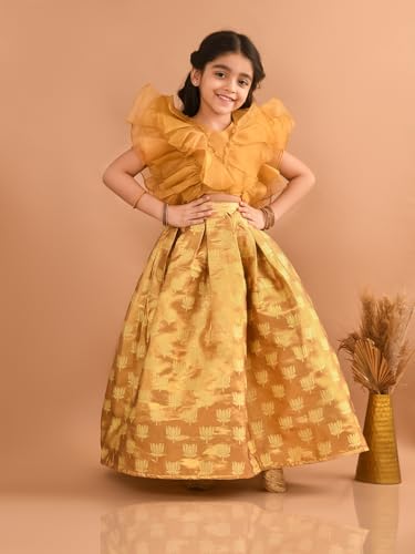 Image of Lilpicks Ruffle Sleeveless Blouse with Brocade Flared Lehenga Set for Girls (Pink)