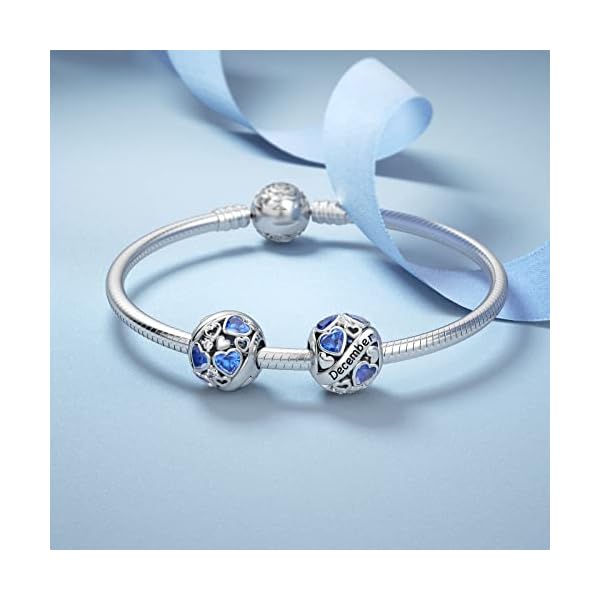 DALARAN December Birthstone Charms for Pandora Charms Bracelet 925 Sterling Silver Birthday Mother's Day Chrismas Jewelry Gift for Women