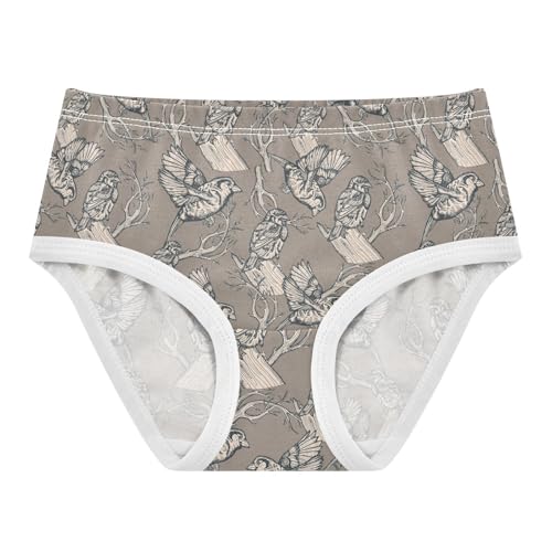 Girls' Underwear Vintage Birds Cotton Stretch Comfort Toddler Panties