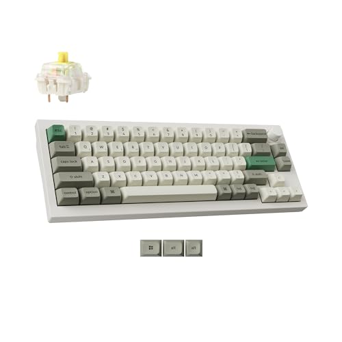 Image of Keychron Q2 Max Wireless Custom Mechanical Gaming Keyboard, QMK /VIA Programmable Knob 2.4 GHz /Bluetooth 5.1 /Wired, 65% Compact RGB Hot-Swap with Gateron Banana Switch for Mac Windows Linux - White