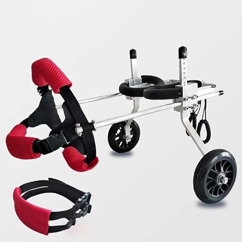 Home Dog Walking & Leads