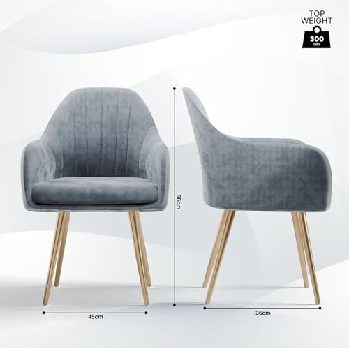 Image of Milano Velvet Comfort Dining Chair with Deep Cushion Seating, Strong Wooden Frame & Metal Support Legs for Dining, Living Room, Bedroom, Balcony & Office (Soft Grey)