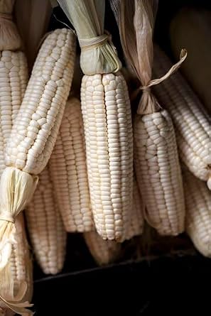 hite Corn Meal ugali Ground Cornmeal for Baking and Cooking 5 lb Bag