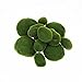 LJY 12 Pcs Artificial Moss Rocks (6 Sizes) Fake Rocks, Moss Balls, Artificial Moss, Faux Moss- Perfect for Flower Arrangements, Gardens, and DIY Crafts，Aquarium Plants Decorate