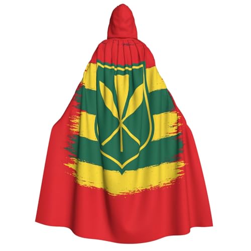 Robe de magicien pour déguisement cape à capuche homme hawaïen