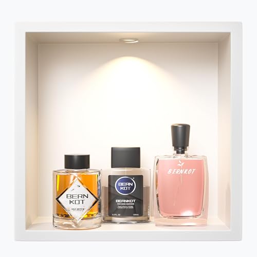 Bernkot Wandnische Dusche Edelstahl mit LED Downlight, 30 cm x 30 cm, Wasserdicht - Keine Fliesen Erforderlich, Badezimmer Lagerung, Nische, Weiß