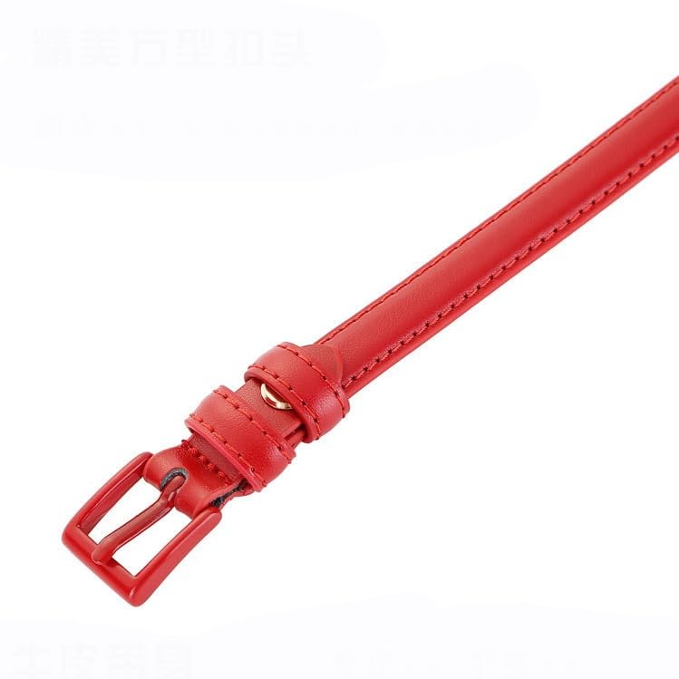 Waistband Women's Cowhide Decoration With Skirt Suit Shirt Waistband Needle Buckle Jeans Small Belt4