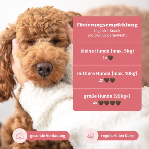 9-in-1 Probiotika für Deinen Hund - Lucky Belly 220 Drops (650g) von mammaly - Bei Magenprobleme & Verdauungsprobleme für Magen-Darm, Verdauungssnacks bei Gras fressen & Kotfresser Leckerlies mit Huhn