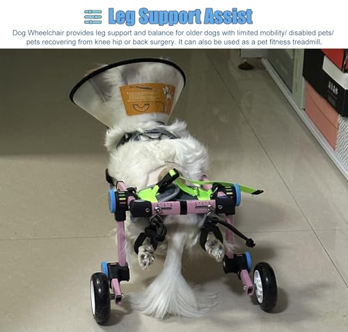 Silla de ruedas para perros: regálale la libertad de caminar con este carrito 6