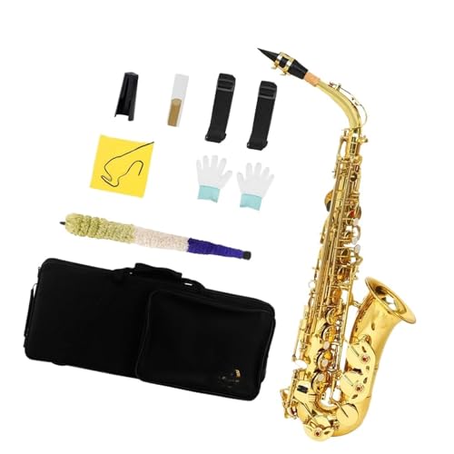 tFbViTbNX vtFbVi Etbg AgTbNXZbg S[h P[XA}EXs[XAlbNAXgbvAX^h܂ރRv[gZbg(Gold)