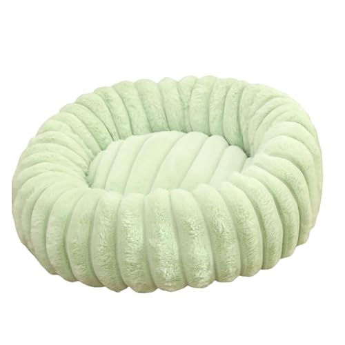 UGYMSIA ybg̑AdʁAXg[gETM̂ʂ݃ybg}bgAۂL̑AAgpxbhAAKA_炩e͐܂ (t[cO[,50cm)