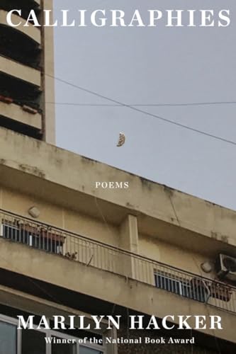 Calligraphies - Poems view 2