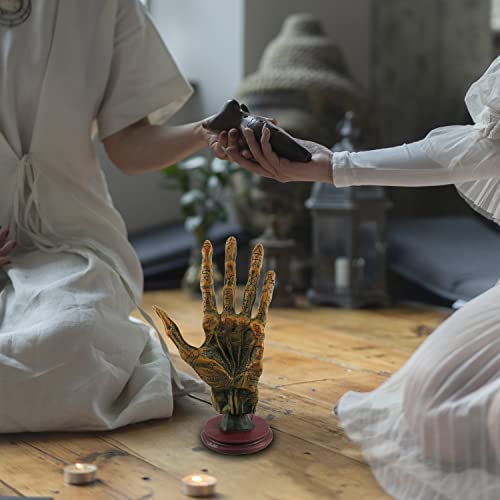 Meperper Palm Reading Hand 5X4X11 - Hand Decor - Palmistry Model - Palmistry Hand Sculpture - Hand Statue - Witchy Gifts - Altar Decor - Macabre Decor - Oddities Decor - Witchy Home Decor #TOP4