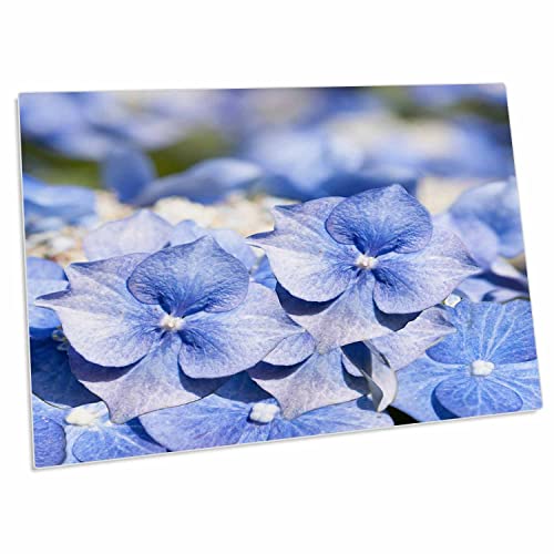 Alfombrilla de escritorio 3dRose Hydrangea 58x40 cm