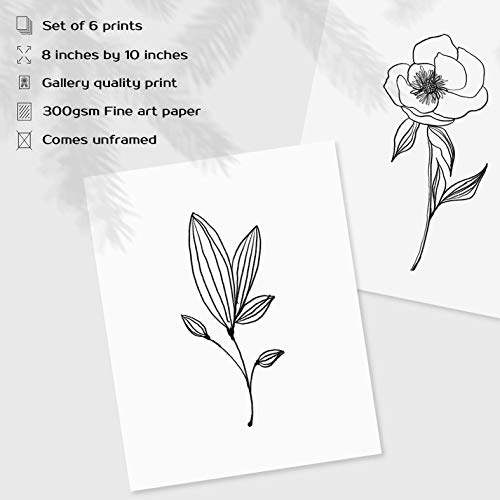 Botanical Plant Wall Art Prints, Minimalist Wall Art, Black And White Wall Art, Plant Wall Decor, Bathroom Wall Decor, Kitchen Wall Decor (Set Of 6, 8X10In, Unframed) #TOP1