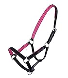 silberfarbige Beschläge QHP Lederhalfter Halfter Fohlen Spirit zweifach verstellbar (Pony Fohlen, Schwarz/Rosa)