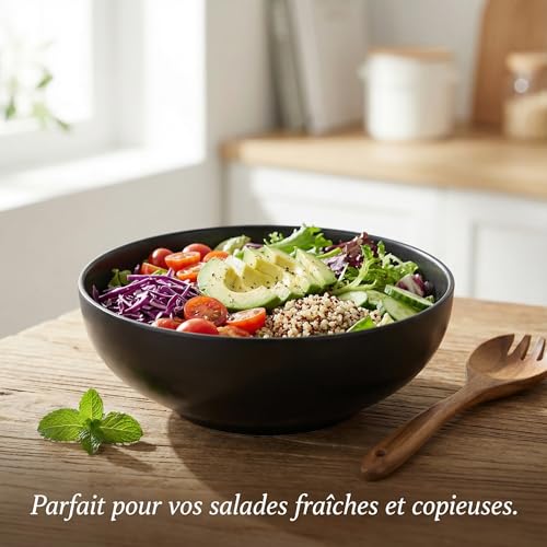 Bols à céréales et ramen 19 cm lot de 2 saladiers noirs HEMOTON