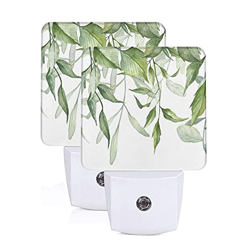 Dadabuliu Wall Clock Leaf + Night Light 2 Pack Botanical Green Boho For Living Room Kitchen Bedroom Kids Room Nursery Hallway Stairway Bathroom Office Home School Decor #TOP2