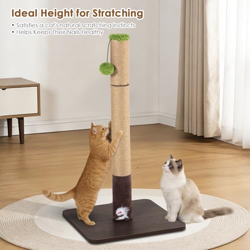 Rascador para Gatos con Base de Madera y Juguetes miniatura 5