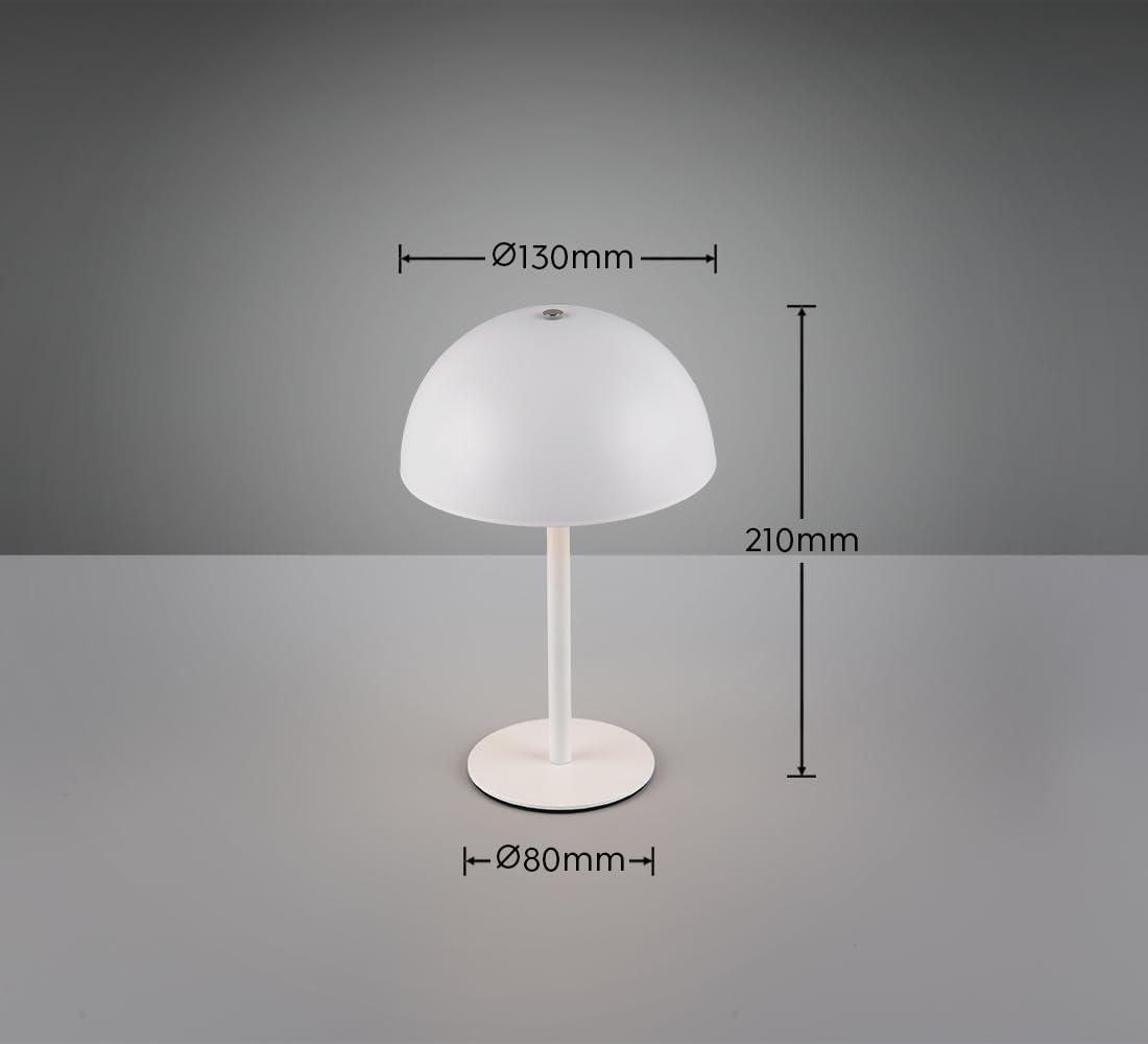 Reality Leuchten lampa stołowa LED Munoz R54891131, metal biały matowy, w zestawie 1,3 W LED, 4-krotny dotyk