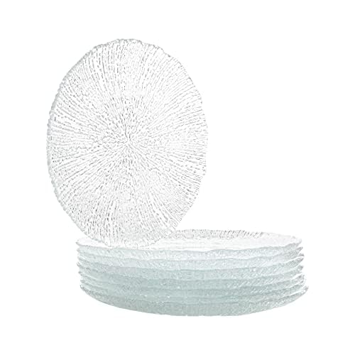 Amazon.com | Vikko Salad Plate, Set of 6 Glass Plates, 8.5 Inch