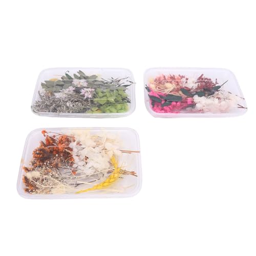 3 cajas de flores secas para manualidades miniatura 1