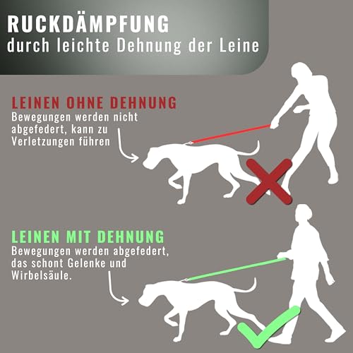 Retrieverleine 150 cm für große & kleine Hunde – Halsband mit integrierter Leine – Slip Leash & Trainingsleine Hund – Führungsleine für Labrador & Retriever - Ruckdämpfer (Anthrazit, bis 5 Kg)