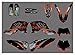 Wfrspavey Autocollant à décalque Graphique de MotorCtcle pour KTM SXF Exc XC 125-524 150 200 250 300 350 400 450 500 2008-2010 SX 525 07-10 hnyxs (Color : 0310)