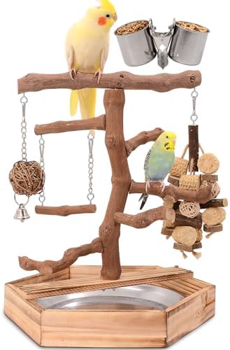 Natural Grape Wood Bird Parakeet Playground - Perch Stand for Par...