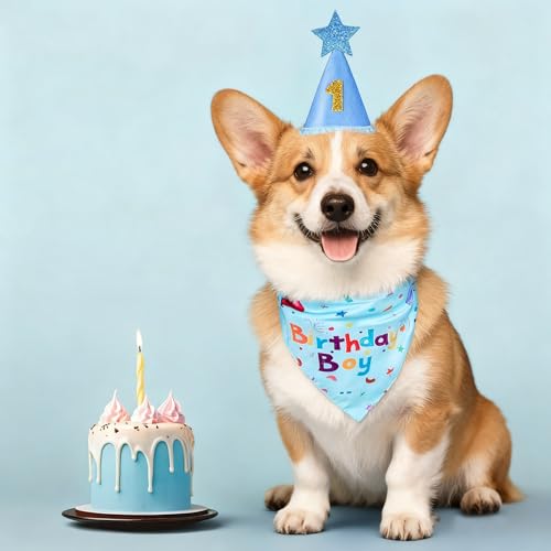 Set de bandana y sombrero cumpleaños para perro Bestac miniatura 6