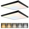 GT-Lite 2 Pack 2x2 Feet 4200 LM LED Flat Panel, Black Trim Flush Mount Drop Ceiling Light 5 CCT, 3 Level Dim,CRI 90 for Home and Office