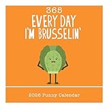 365 Daily Desk Calendar for 2026 by Graphique, Day to Day Calendar for Home or Office, Tear Off Pages, Punny