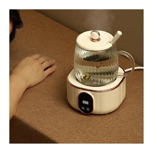 Tetera eléctrica de vidrio multifuncional 600ml miniatura 4