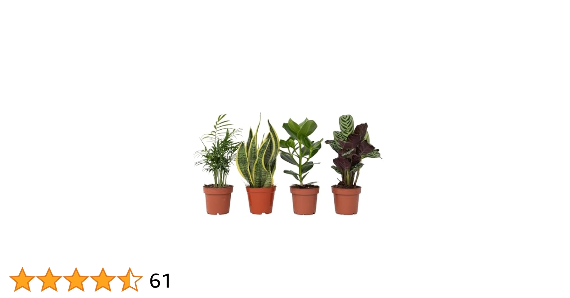 Serre D’Intérieur 6 Pièces Avec Plateau - Mini Serre Pour Semis Et Boutures - 20,5x15,5x11 Cm