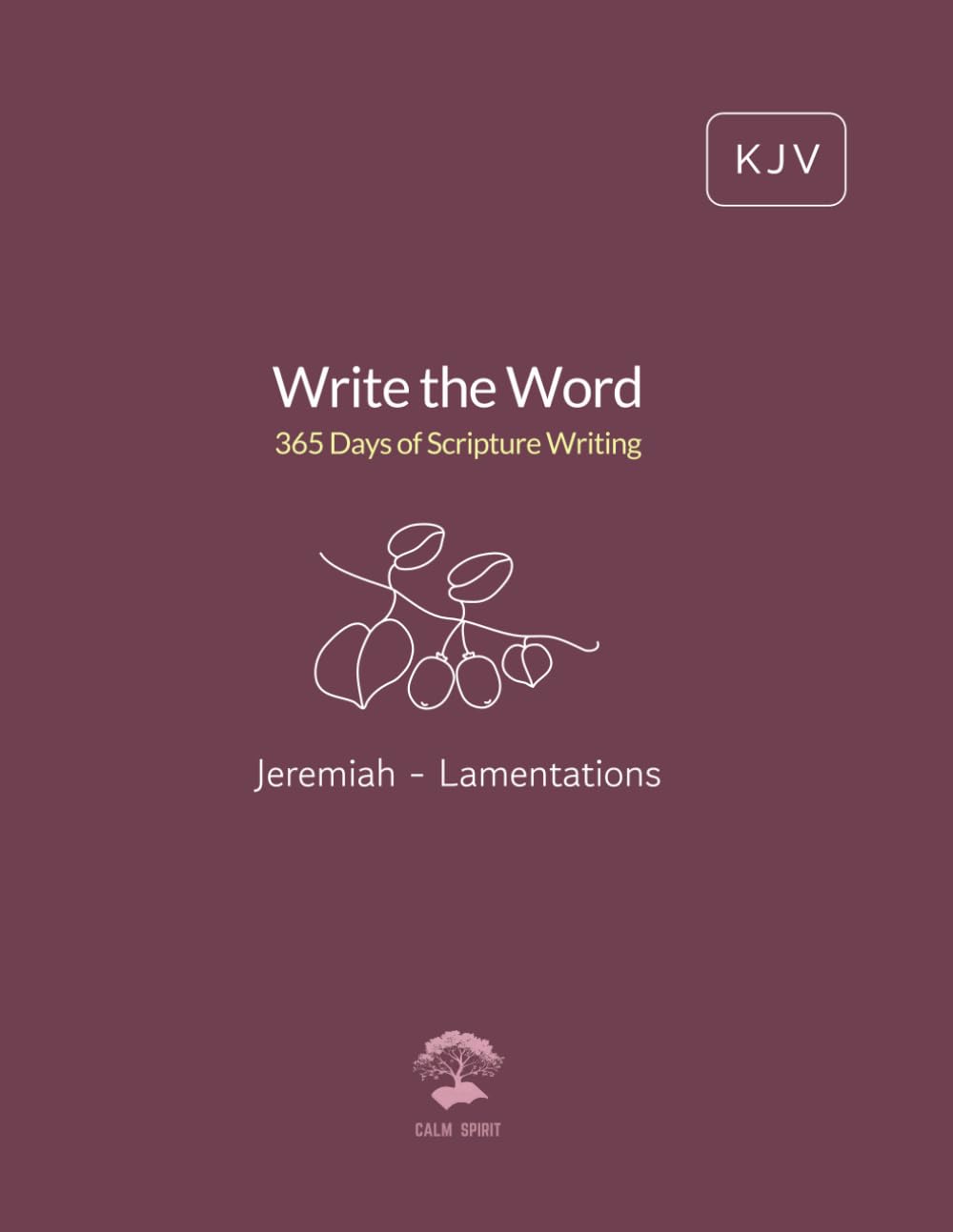 Write the Word: 365 Days of Scripture Writing: Jeremiah - Lamentations